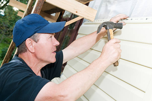 Best Custom Trim and Detailing for Siding  in Holt, MI